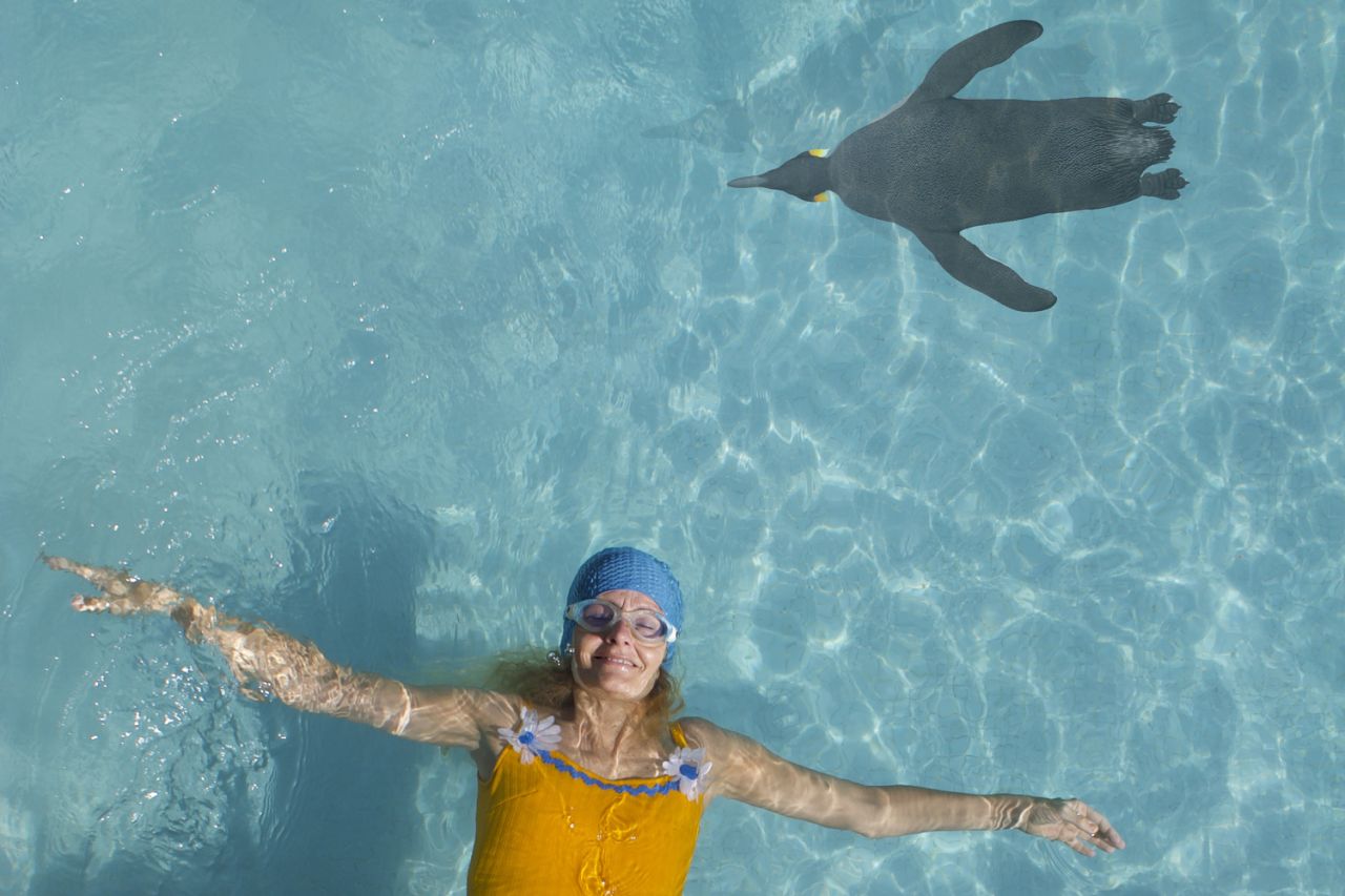 Pinguins 1 Pinguins 1