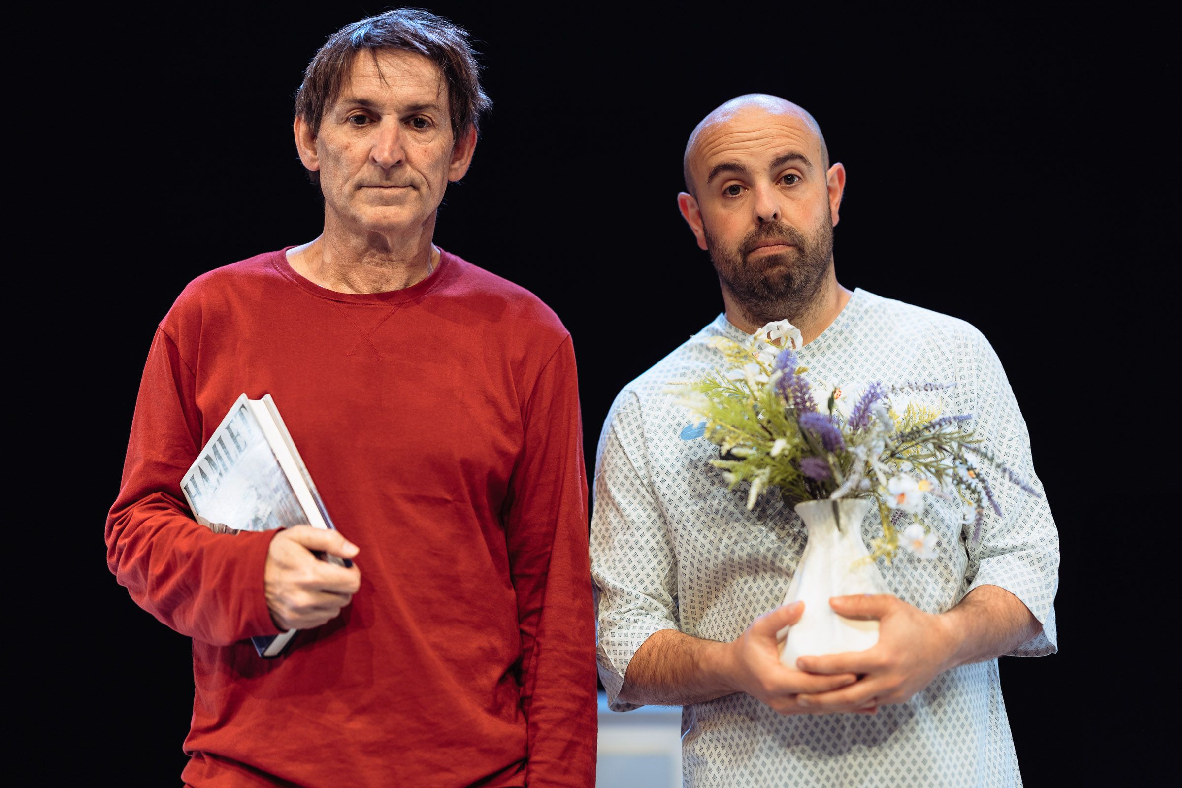 Hamlet: d'Albert Pla i Peyu