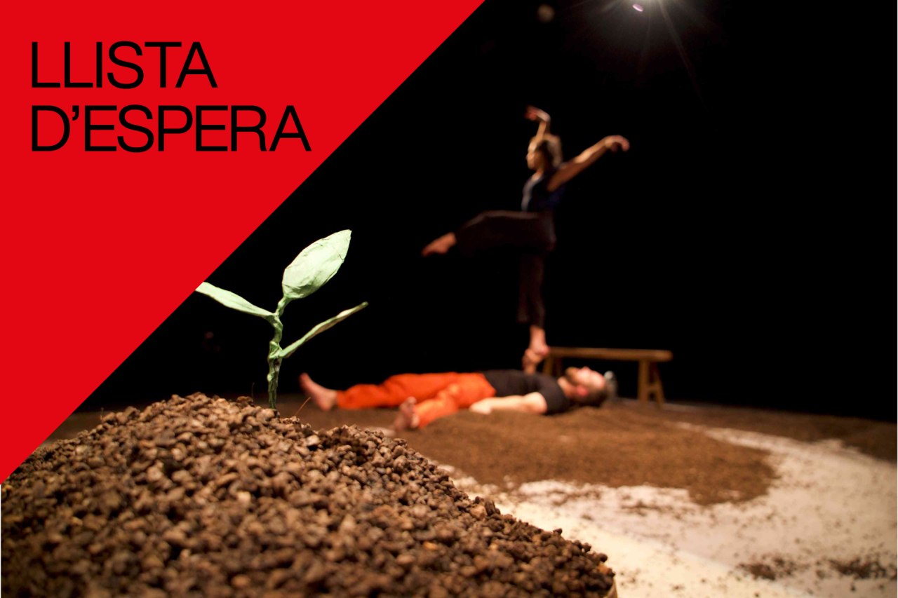 De la terra al cel llista d'espera De la terra al cel llista d'espera