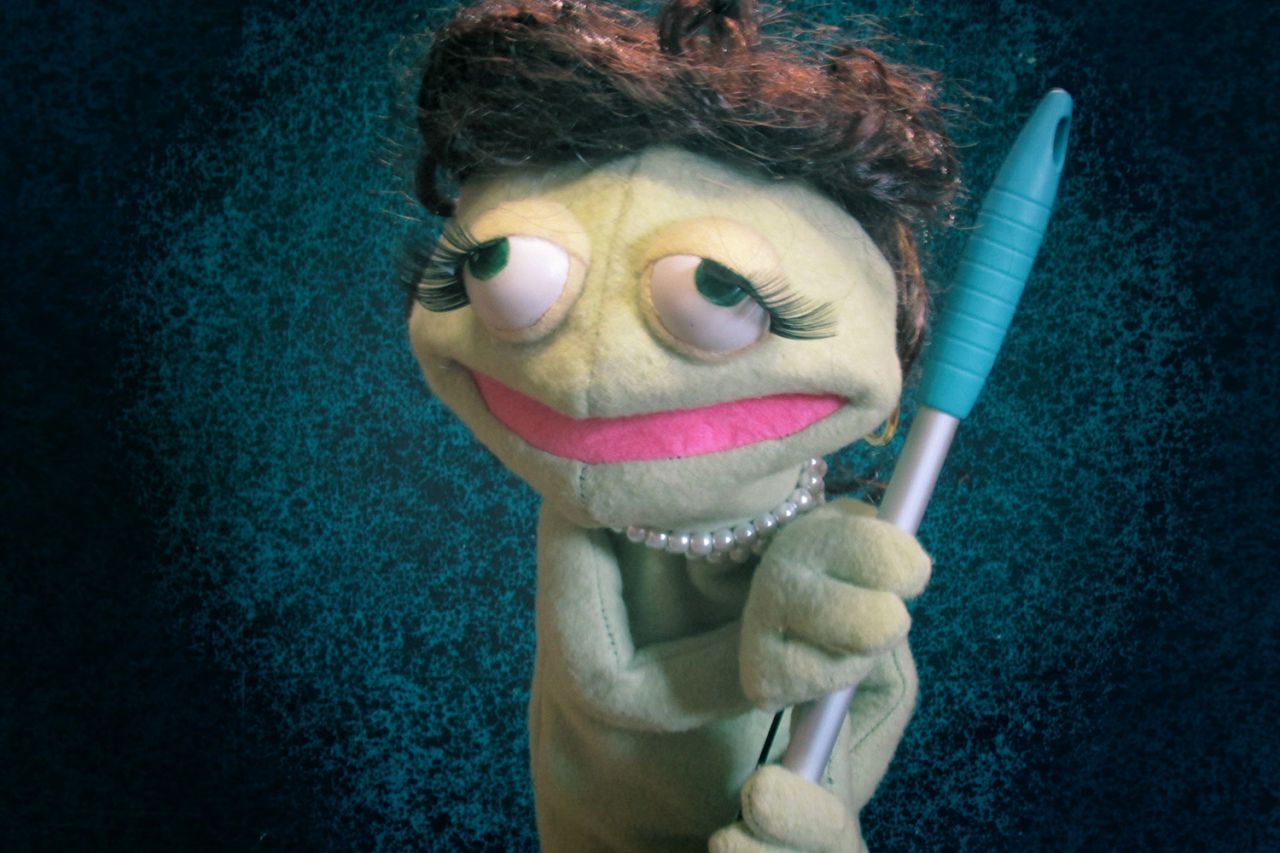 Puppet Pro Puppet Pro